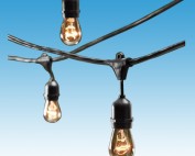 Edison String Lighting Rentals